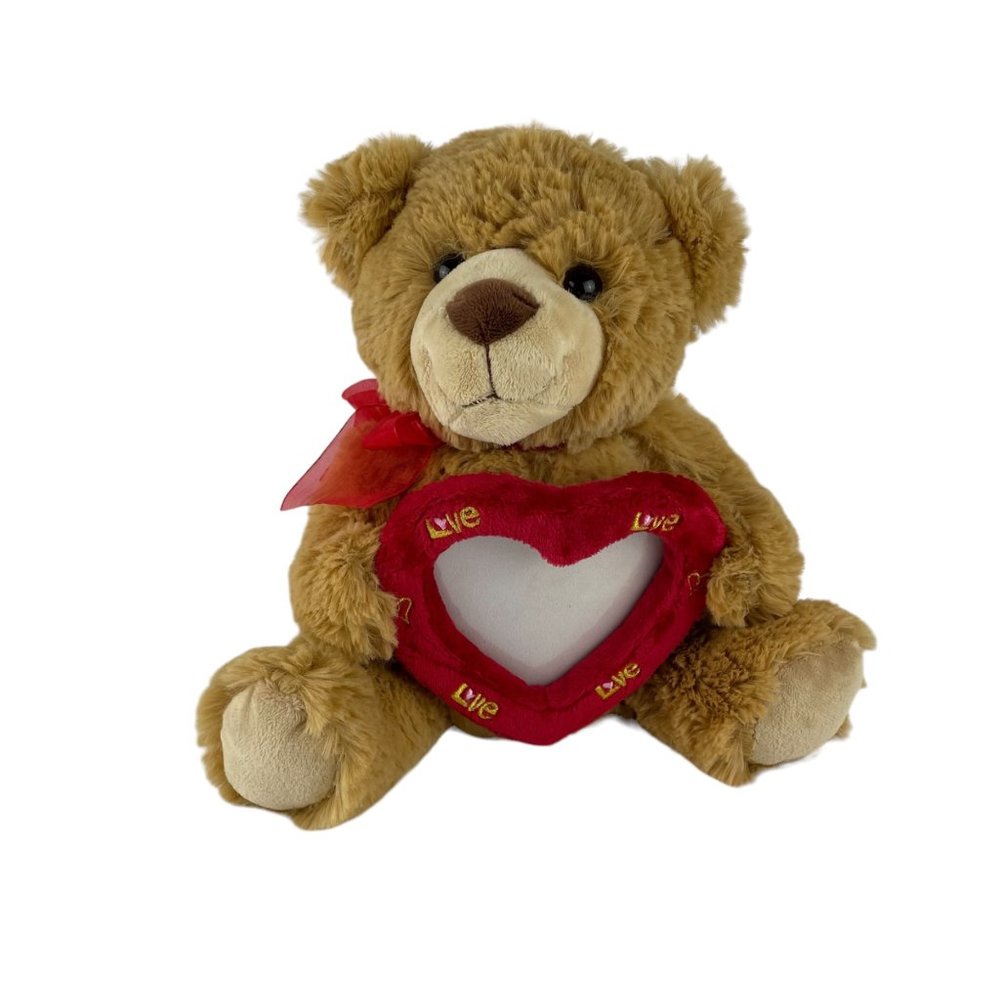 Walmart Teddy Bear Valentines Day‎ Plush 11" Red Heart Photo Frame
